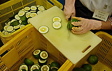 熟成味ポン酢の製造工程2
