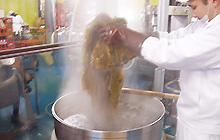 ゆずポン酢の原料紹介3
