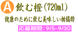 Aコース商品名