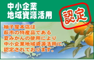 ������ƒn�掑�����p�F��