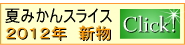 2012年産夏みかんスライス