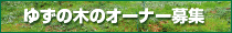 �䂸�̖؃I�[�i�[��W