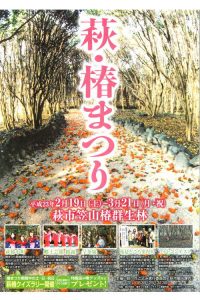 25,000本のやぶ椿の深紅の絨毯を歩きませんか?