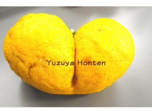 幸せの黄色い柚子のおすそわけ