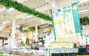 工場直売店~柑橘工房~生まれ変わりました!