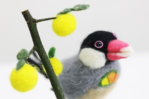 今日は文鳥さんが・・・