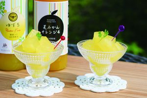 夏にひんやり冷たいシャーベットを！