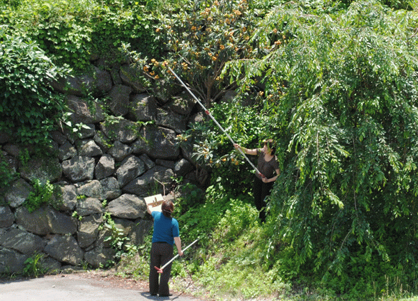 20110617-140139-57727500