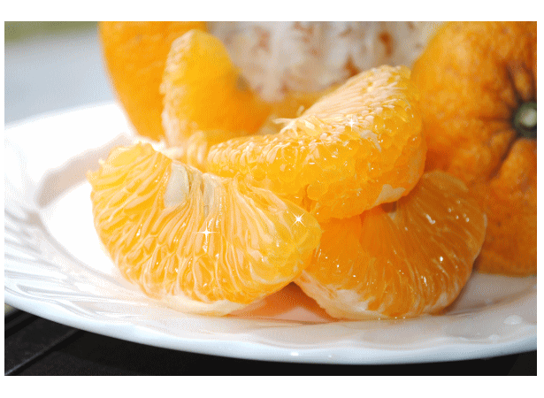 柚子屋本店のブログ