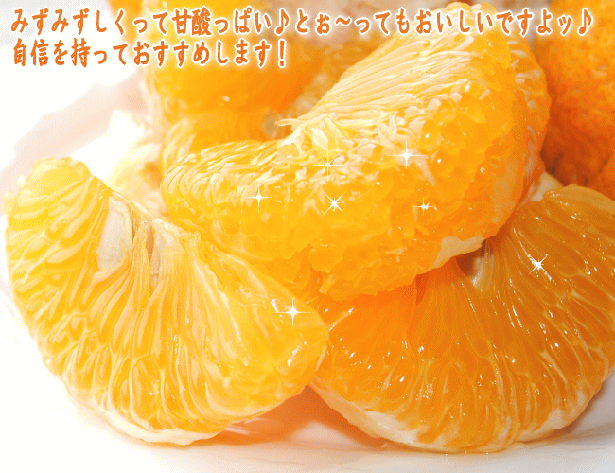 柚子屋本店スタッフルーム♪