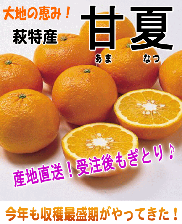 柚子屋本店スタッフルーム♪