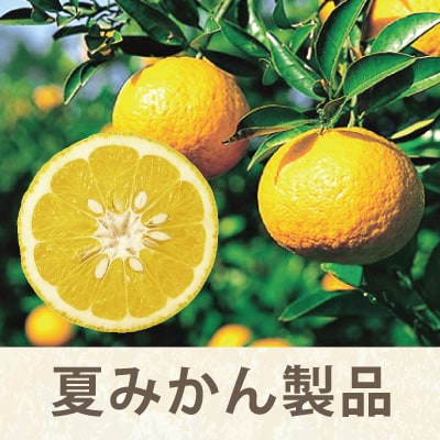 夏みかん製品