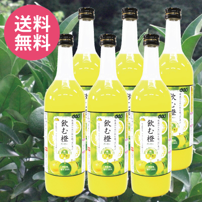 飲む橙（720ml）6本