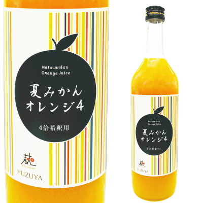 夏みかんオレンジ4