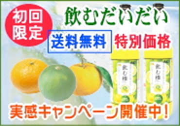 飲む橙実感セット