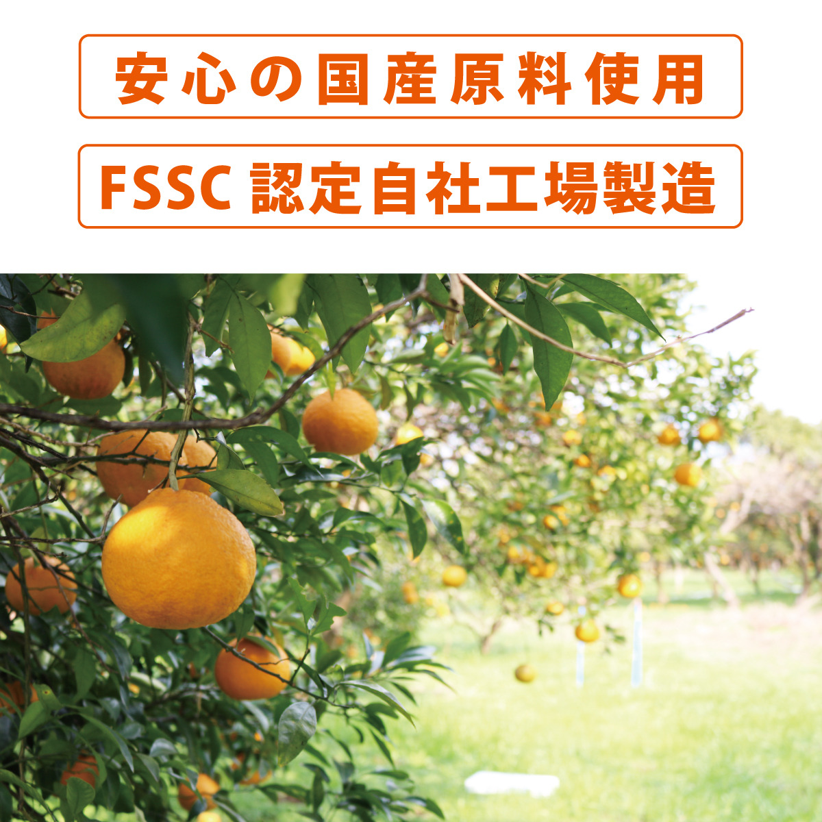 安心の国産原料使用・FSSC認定自社工場製造