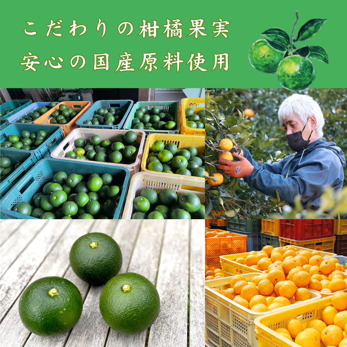 こだわりの柑橘果実、安心の国産原料使用