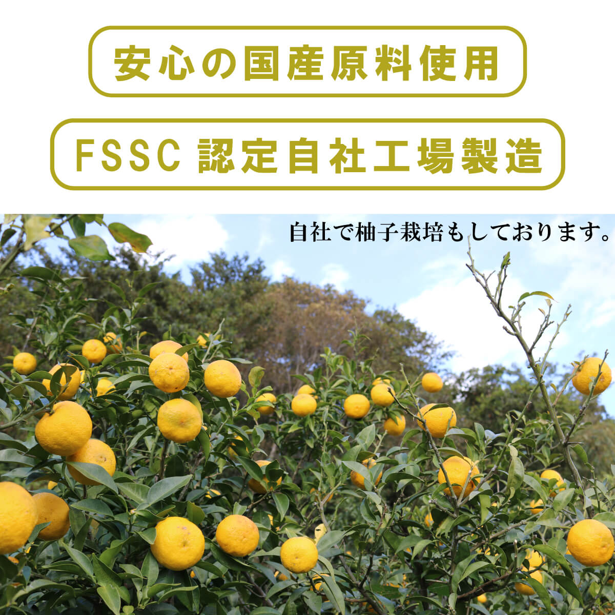 安心の国産原料使用・FSSC認定自社工場製造