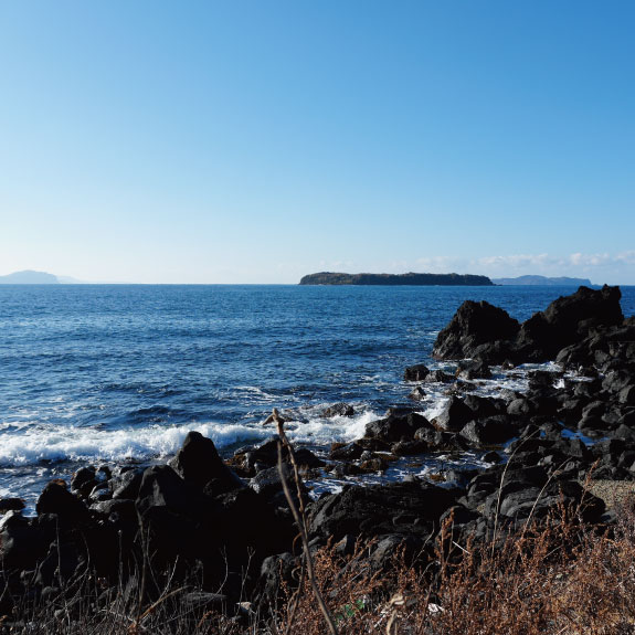 萩市・虎ヶ崎の海水のみを使用