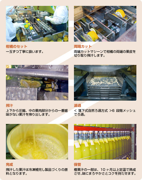 柑橘の搾汁工程