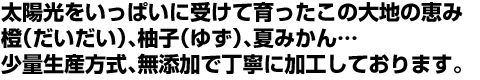 太陽光をいっぱいに受けて育ったこの大地の恵み　橙（だいだい）、柚子（ゆず）、夏みかん…　少量生産方式、無添加で丁寧に加工しております。