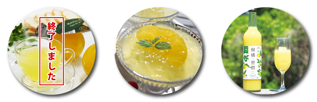 2025ポイントアップキャンペーンtop