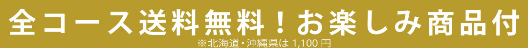 2027年柑橘製品新春福箱