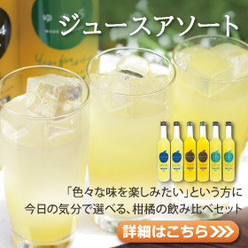 ジュースアソート画像バナー