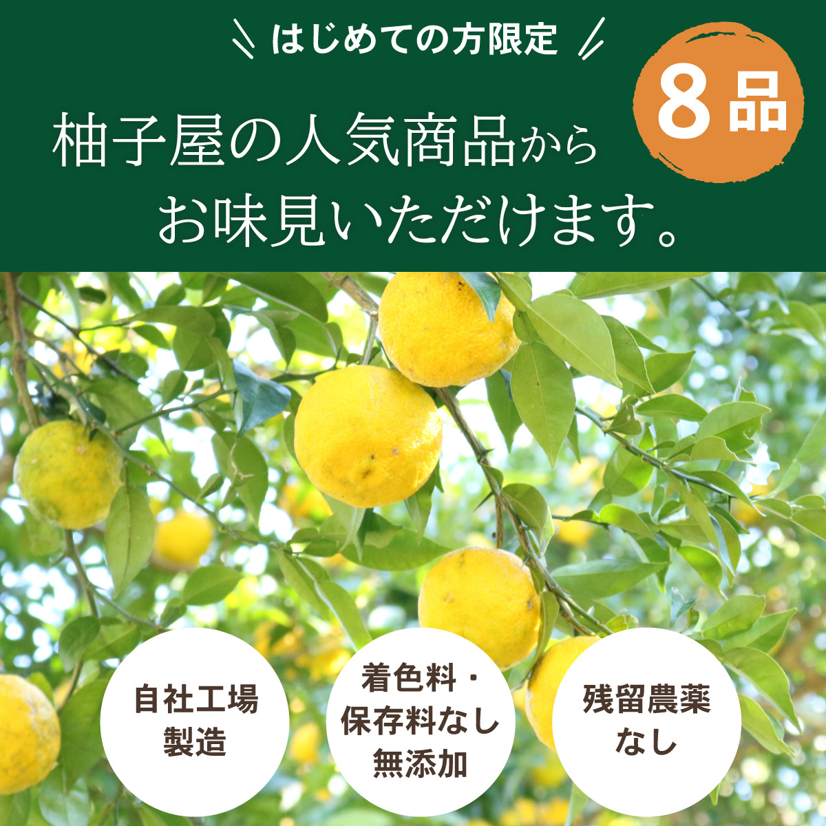 選べる柑橘食品お試しセット人気商品から8品チョイス