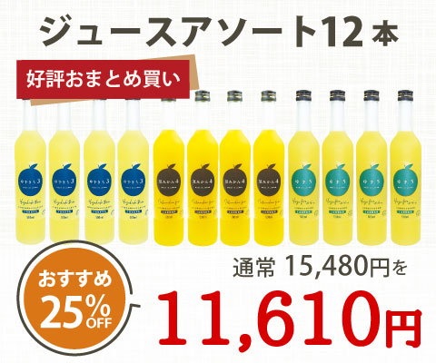 ジュースアソート12本セット