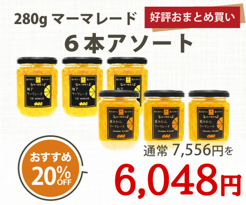 マーマレード6本アソート（各280g）