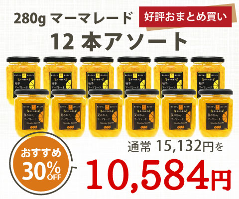 マーマレード12本アソート（各280g）