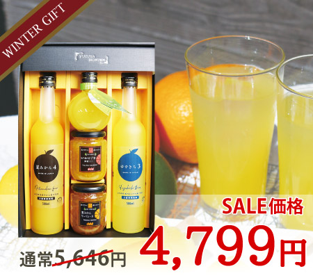 いろどりギフトD-3