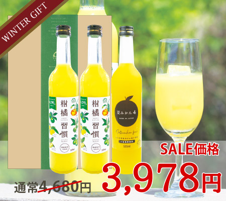 いろどりギフトC-1