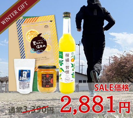 熱中症対策ギフトC