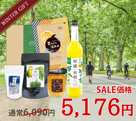 熱中症対策ギフトD