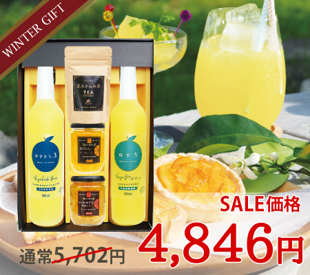 いろどりギフトE-8