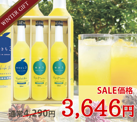 いろどりギフトD-8