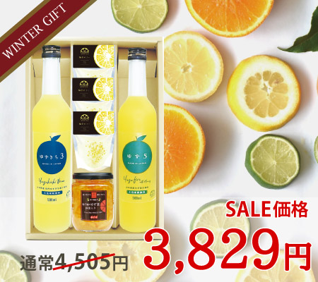 いろどりギフトD-9