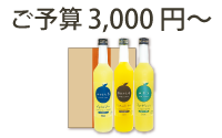 ご予算3,000円～