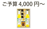 ご予算4,000円～