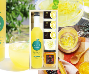 まるっと柚子ギフト