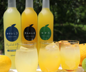 濃厚希釈ジュース