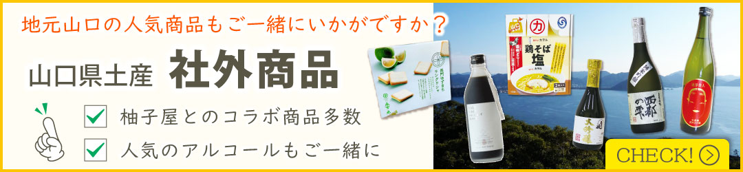 社外製品