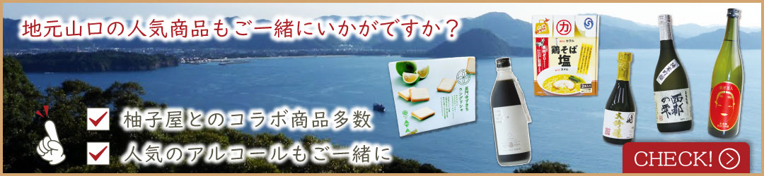社外製品