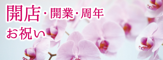 開店開業周年お祝い